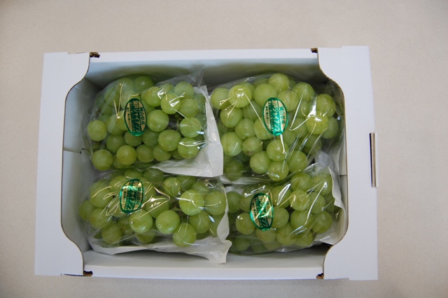 岡山産瀬戸ジャイアンツ2kg 西本農園